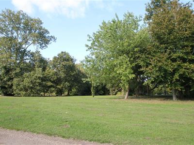 Picture 25